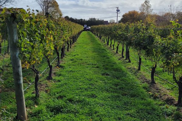 Baiting Hollow Farm Vineyard