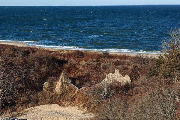 Hallock State Park Preserve