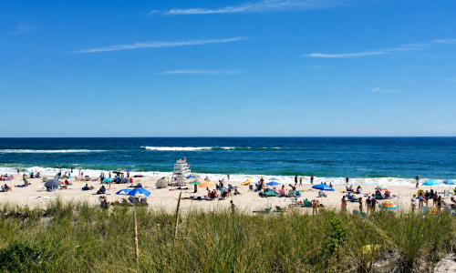 Flying Point Beach