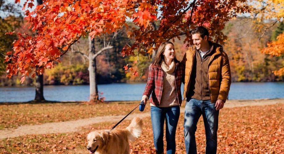 Best Time to Visit the North Fork: The Complete Guide Featured Image