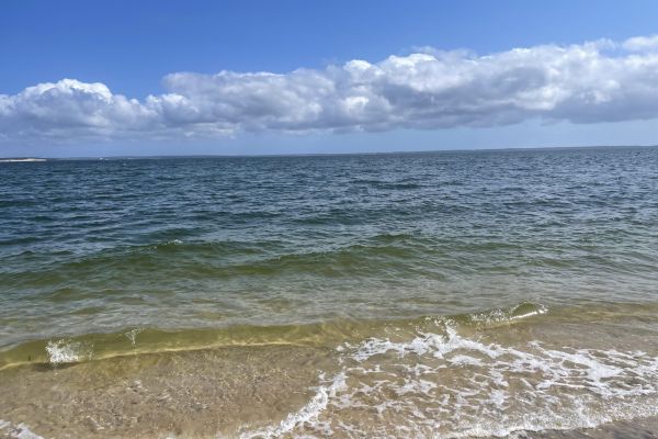 Peconic Bay Park