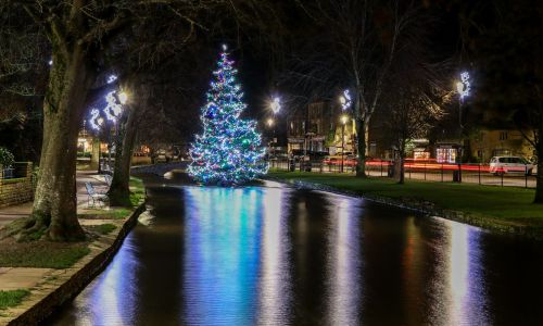 Christmas tree lit up beside the water in a village park at night
