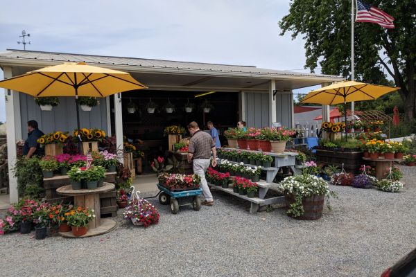 Andrews Family Farm