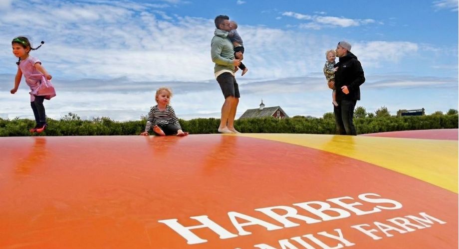 Family Friendly Things to Do in North Fork Featured Image