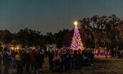 Crowd gathered around a lit Christmas tree at dusk
