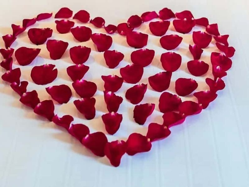 wp-content/uploads/2025/07/lbg-blog7.jpg
