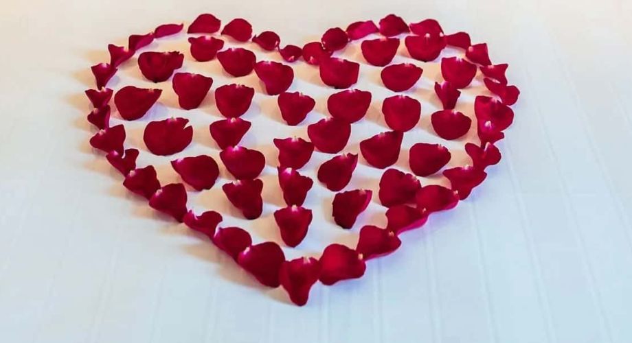Valentine’s Day on the North Fork Featured Image