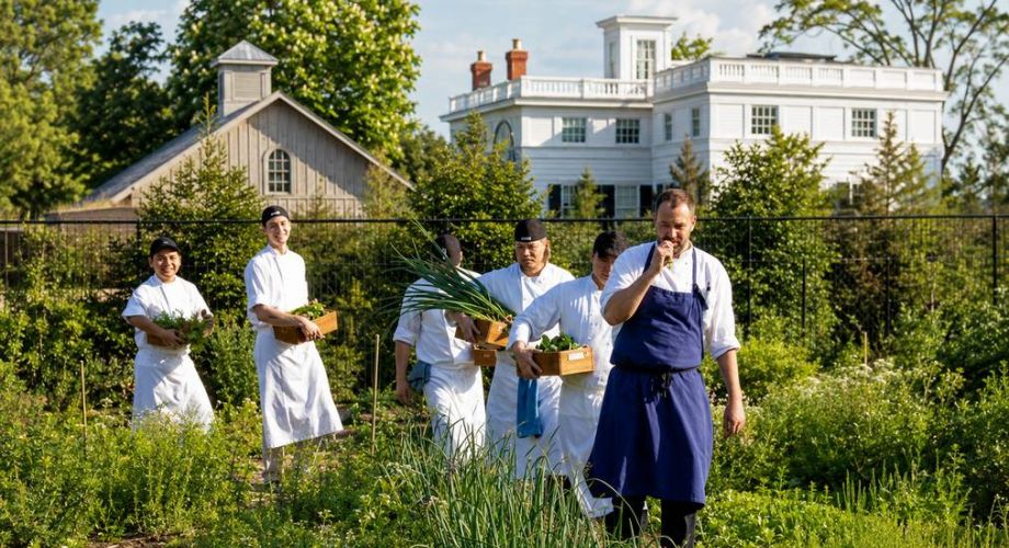 Farmstand to Fine Dining: How Hamptons Chefs Build Menus Within Five Miles Featured Image