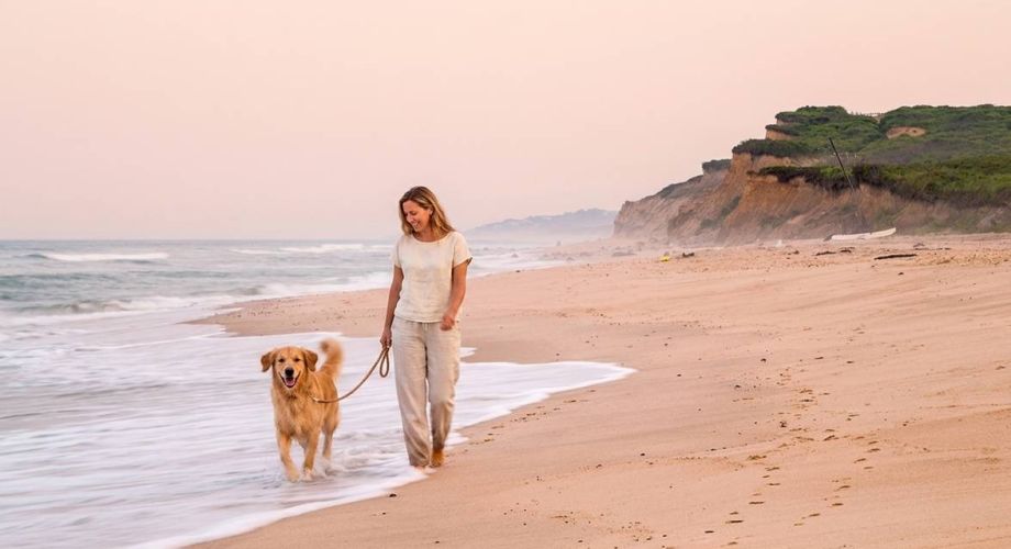 A Dog’s Summer on the Hamptons’ Dog-Friendly Beaches Featured Image
