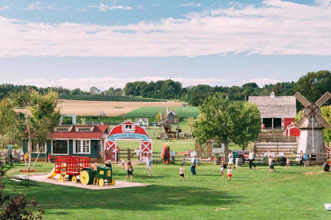 Harbes Family Farm produce and farm stand in Mattituck