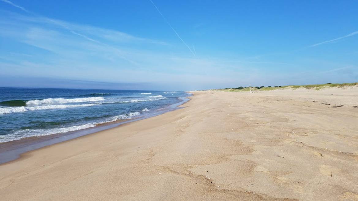 Two Mile Hollow Beach East Hampton dunes and endangered plants