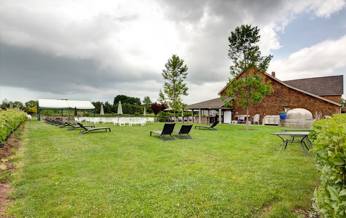 Outdoor tasting area and vineyard rows at Jamesport Vineyards on Main Road in Jamesport, NY
