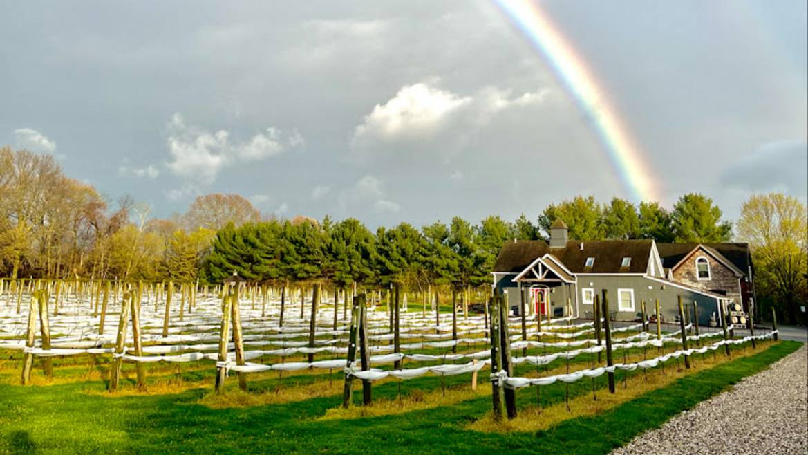 Tasting patio and vineyards at Terra Vite North Fork Winery in Jamesport